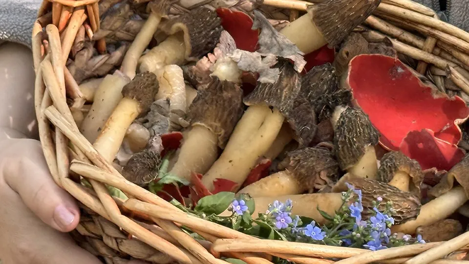 Фото: МедиаБанк Подмосковья/Мария Шматкова