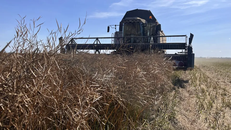 Фото: МедиаБанк Подмосковья/Ангелина Стельмух