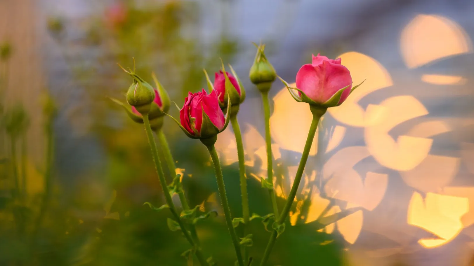 медиасток.рф