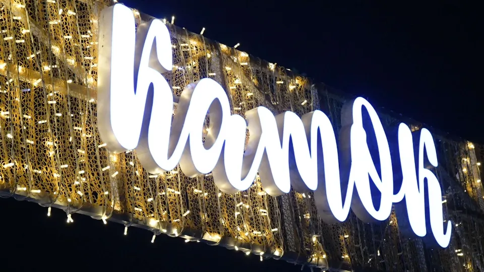 Фото: пресс-служба администрации Дмитровского м.о.