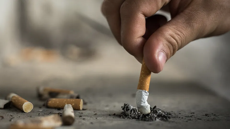 Фото: istockphoto.com