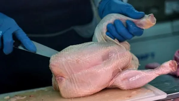 Нутрициолог Писарева пояснила, почему куриное мясо можно употреблять в  пищу при повышенном холестерине