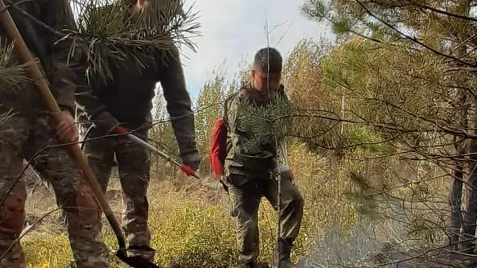 Фото: Мособлпожспас