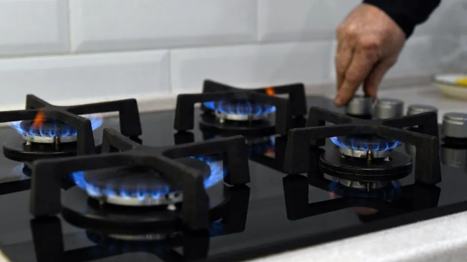 Фото: t.me/Press_MO