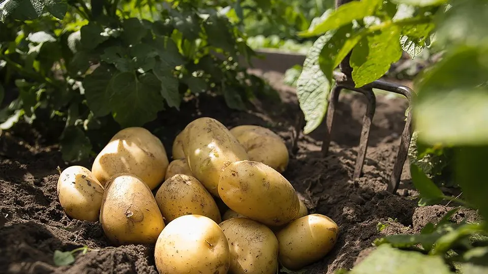 Фото: istockphoto.com