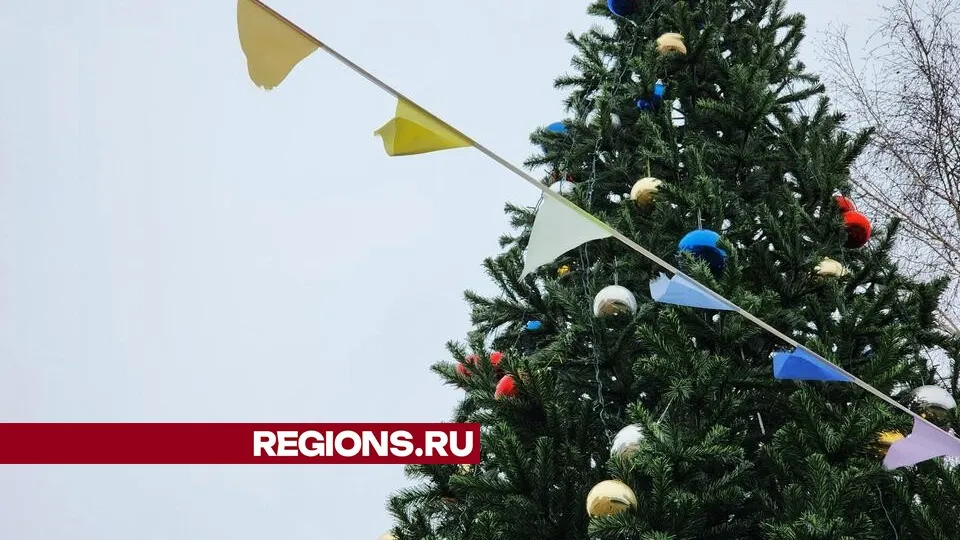 Фото: Светлана Плотникова