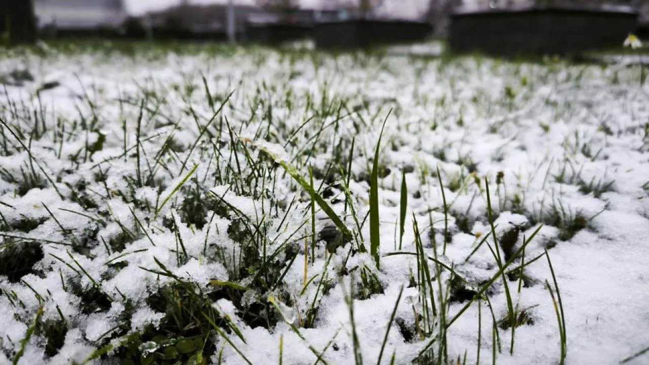 REGIONS/Роман Малышенко