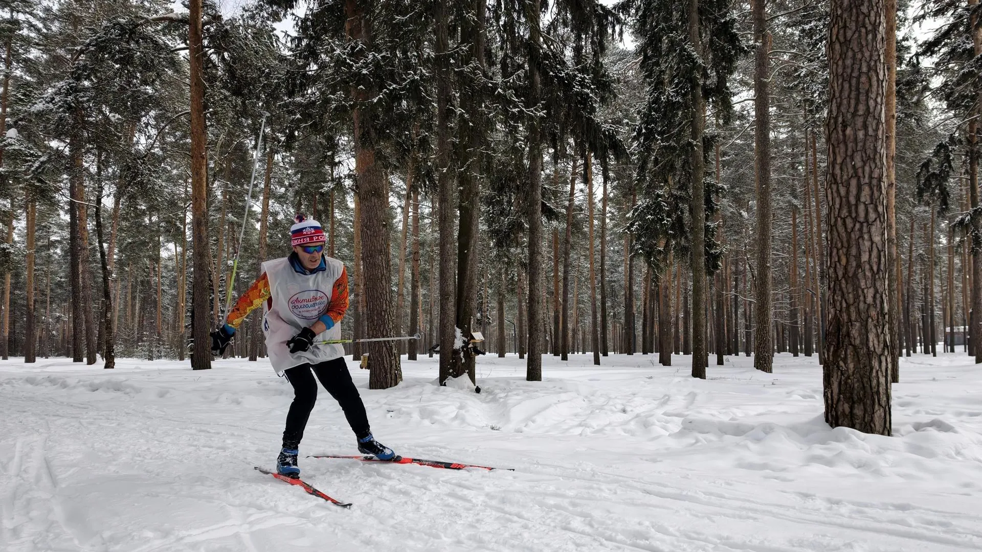 МедиаБанк Подмосковья/Юлия Выборова