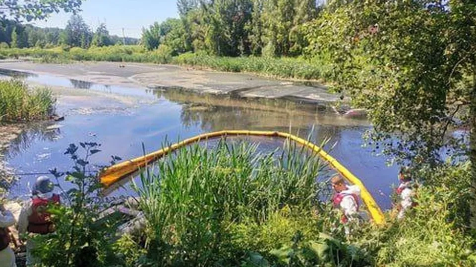 Фото: Министерство экологии и природопользования Московской области