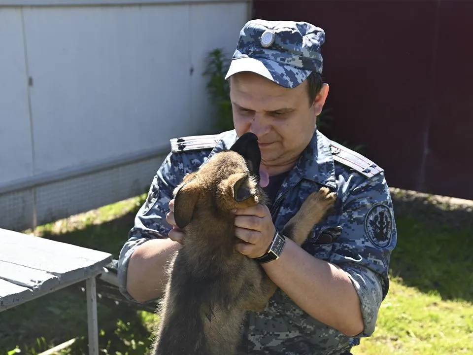 «Ласковый лизунчик»: выяснилось, какие собаки не подойдут для службы