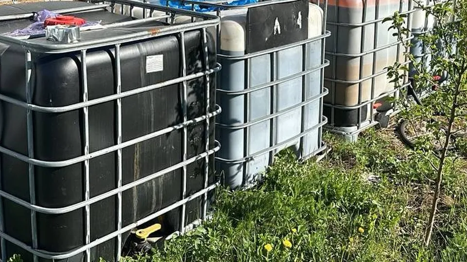 Фото: Прокуратура города Москвы