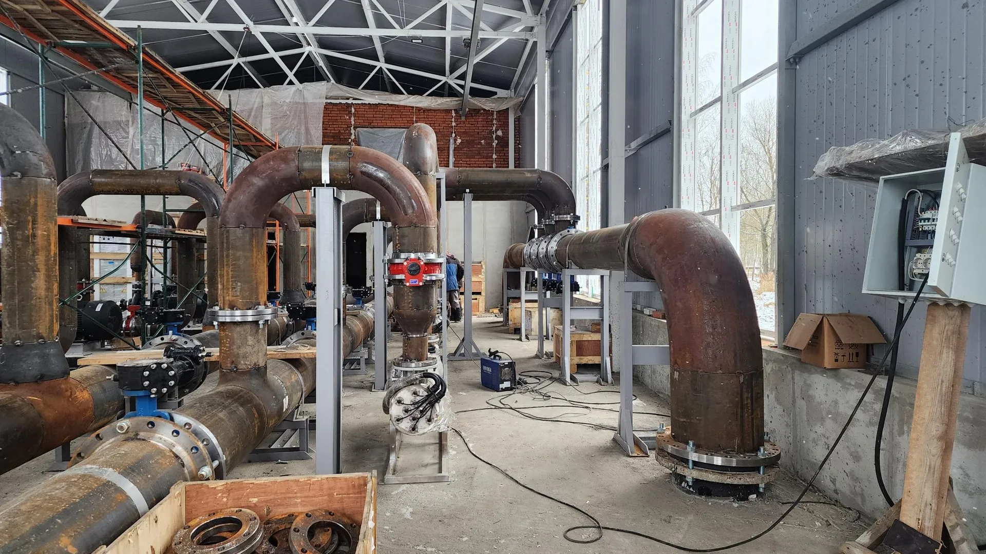 Ксения Пашуто