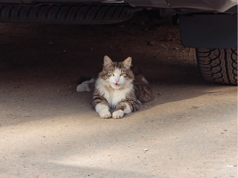 Фото: REGIONS/Наталия Надточая