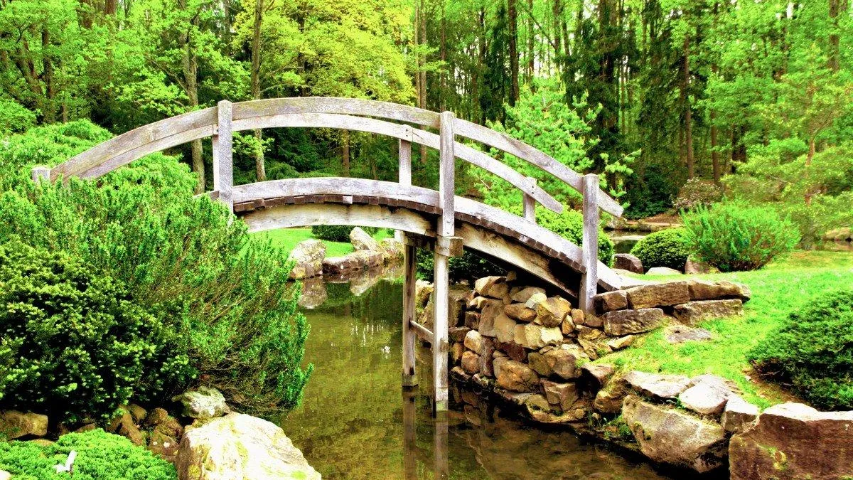 МедиаБанк Подмосковья