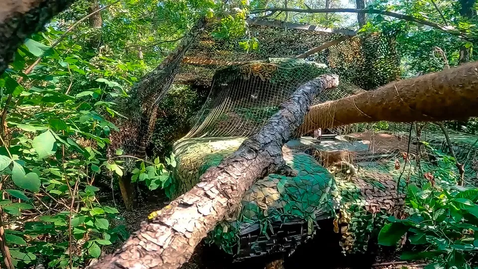 Фото: ТАСС/AP