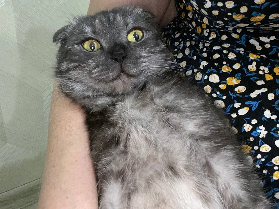 Фото: из архива Юлии Дьячковой