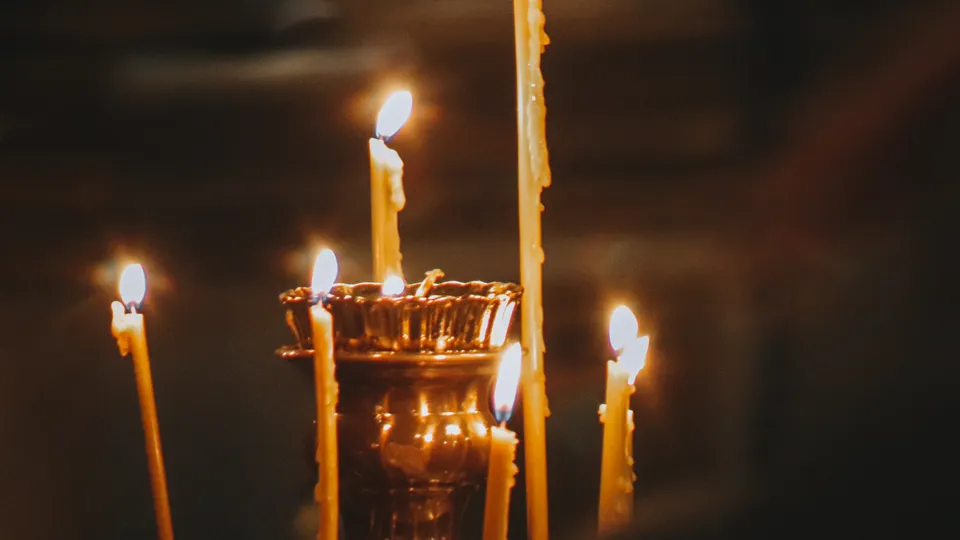 Фото: МедиаБанк Подмосковья/Данила Кирьянов