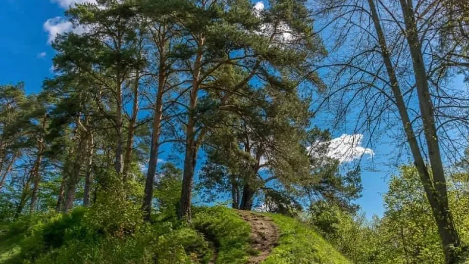 Фото: Администрация Одинцовского городского округа