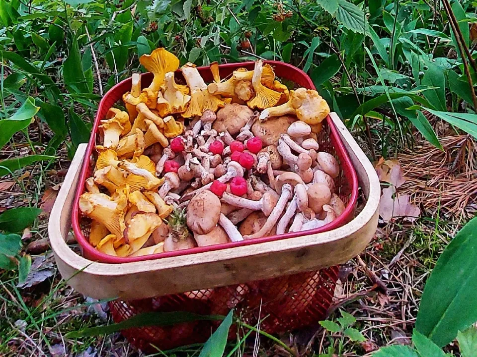 Фото: Василий Потапов