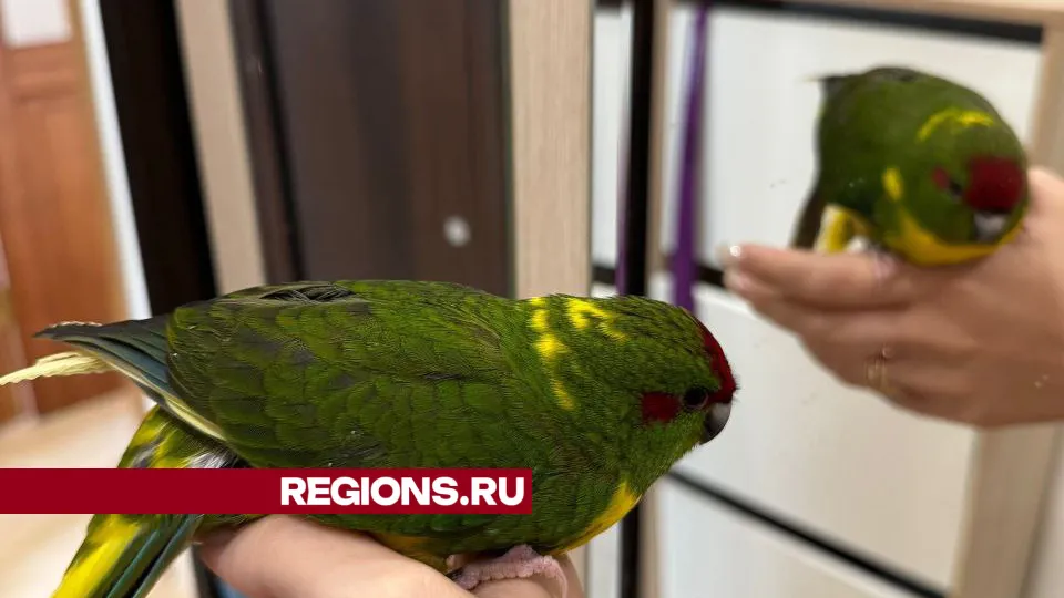 Фото: Татьяна Большакова