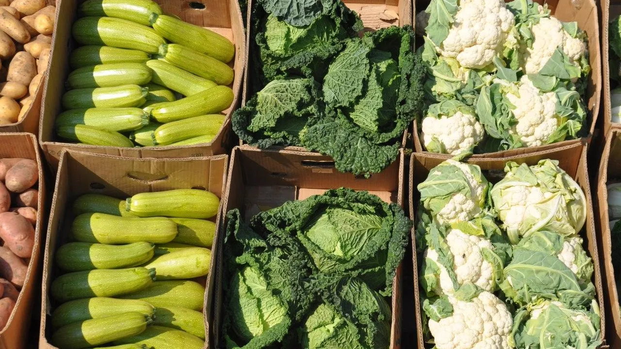 пресс-служба губернатора и правительства МО