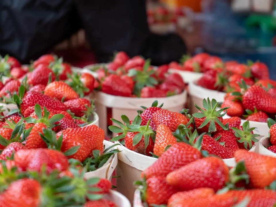 Фото: istockphoto.com