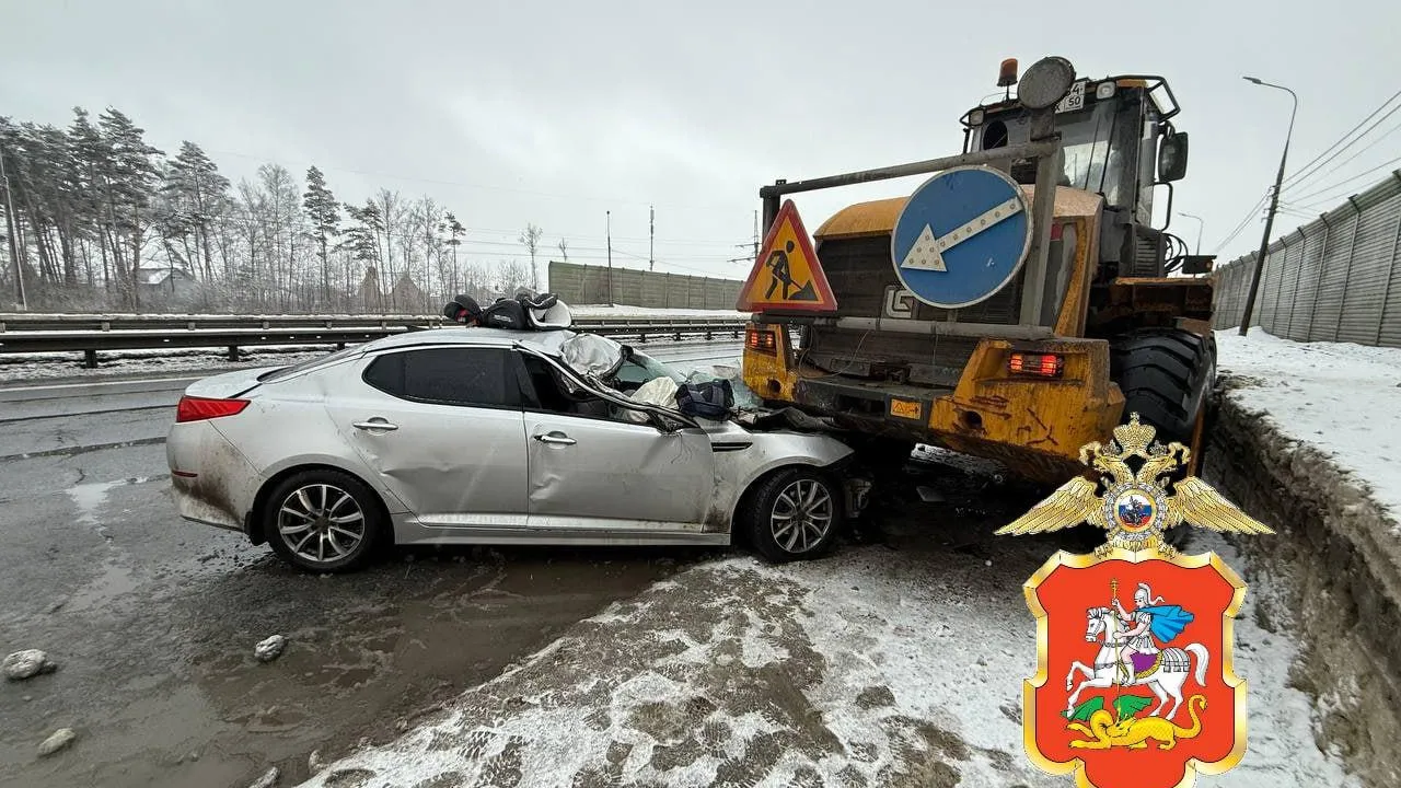 Подмосковная полиция