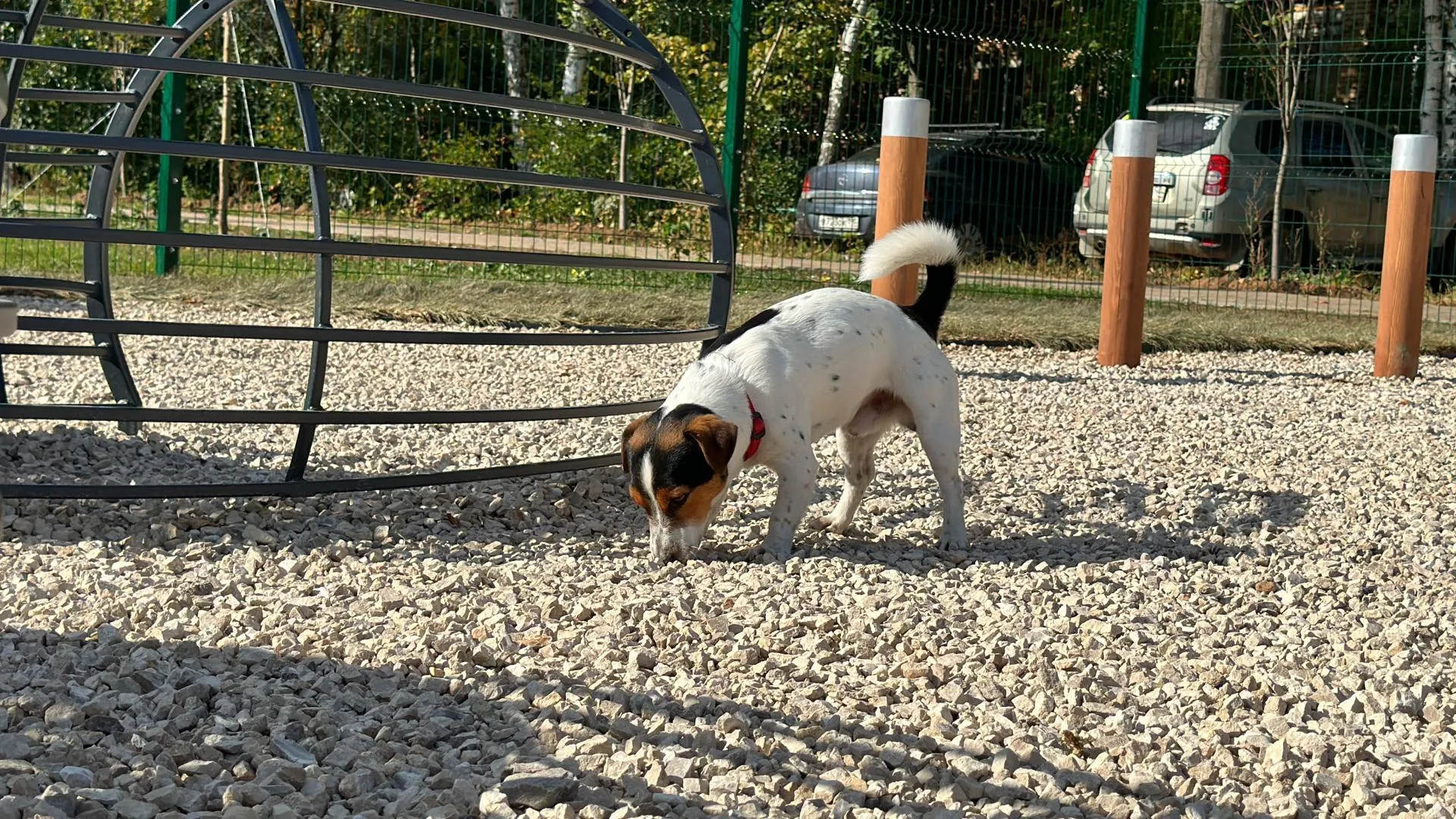 Фото: Мария Шматкова