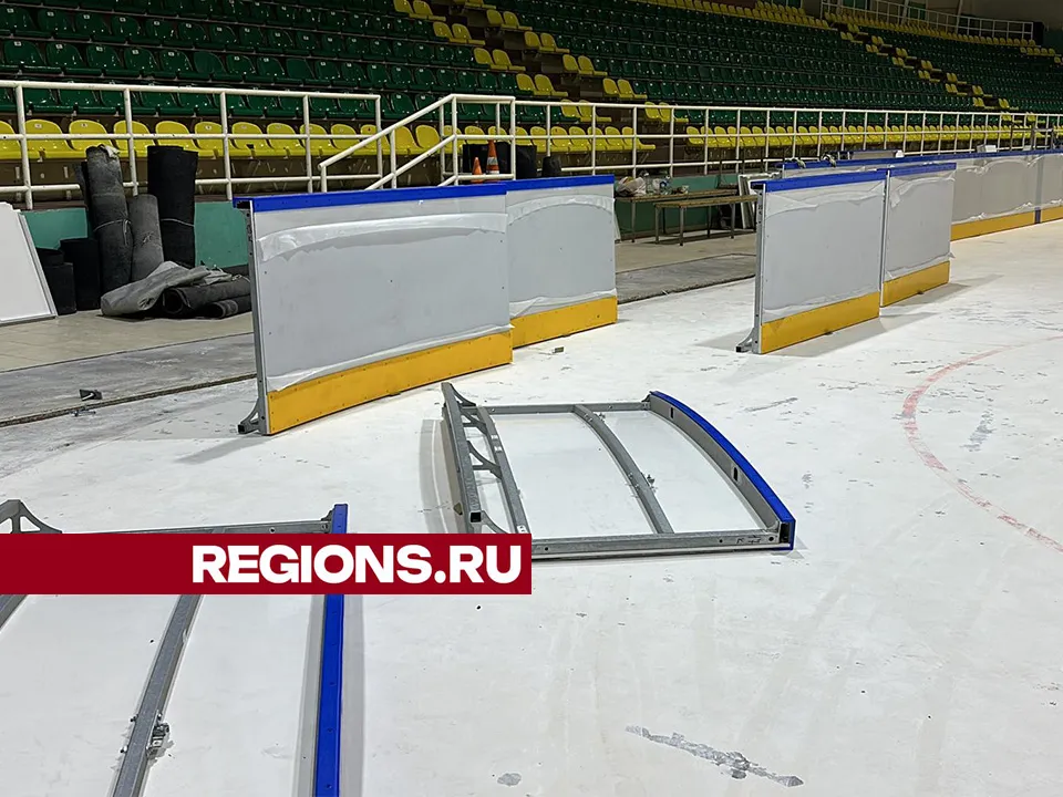 Фото: Данила Кирьянов&nbsp;