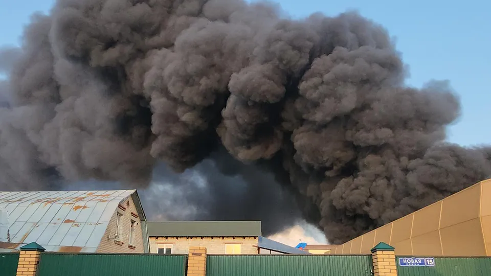 Фото: МедиаБанк Подмосковья/Ольга Шеметова