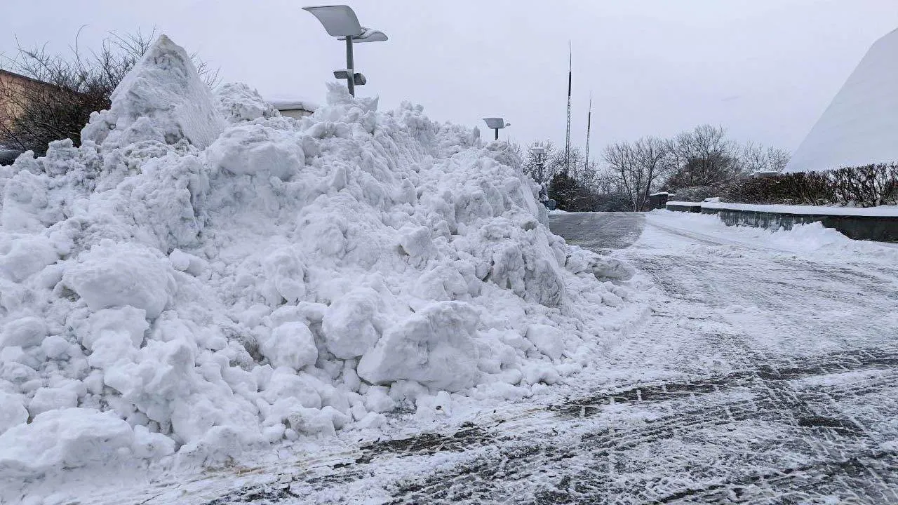 REGIONS/Роман Малышенко