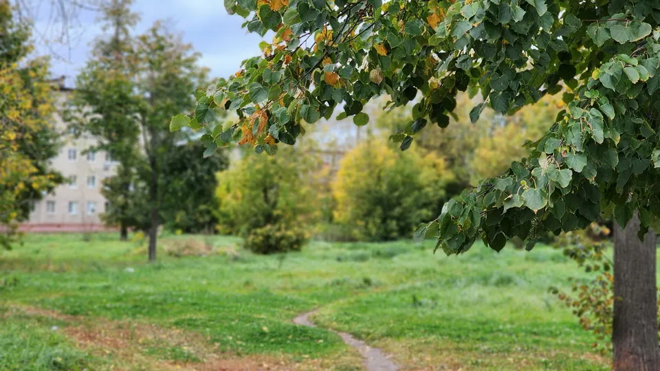 Фото: МедиаБанк Подмосковья/Ксения Пашуто