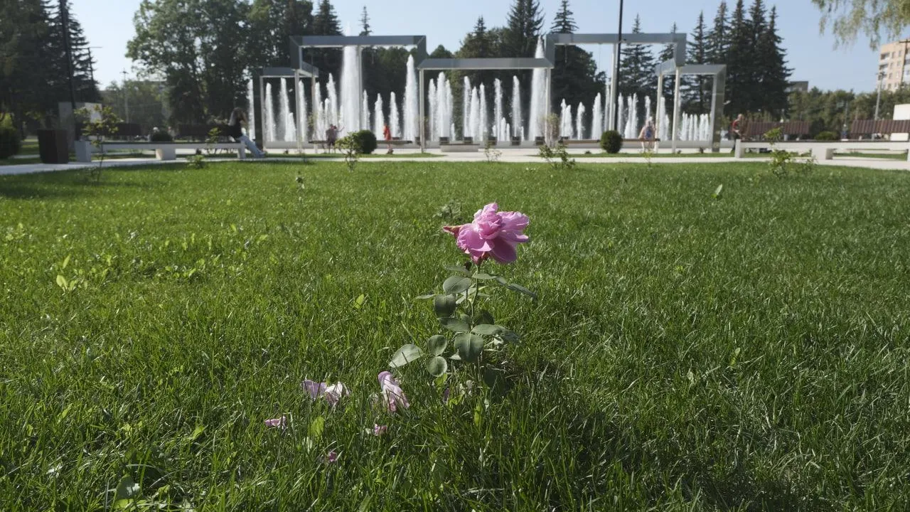 Мария Панина