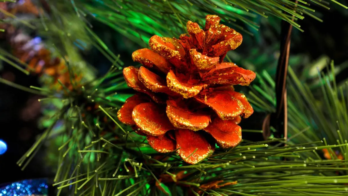 Фото: pxhere.com