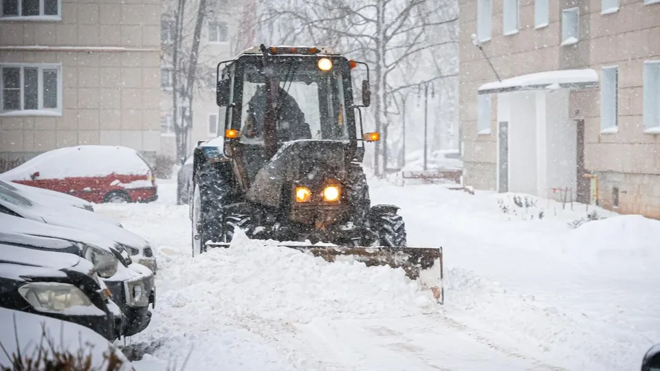 Фото: МедиаБанк Подмосковья/Данила Кирьянов