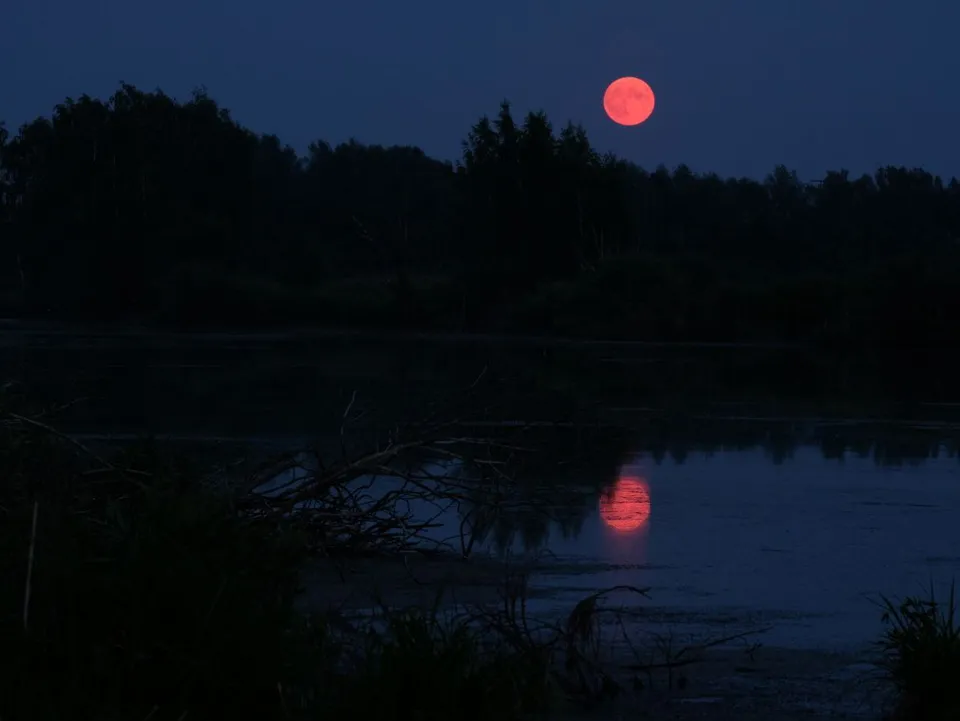 Река Отра.&nbsp;Фото: Ольга Крылова&nbsp;