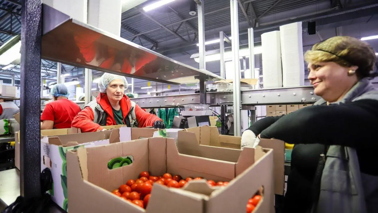 Фото: Виталий Ватулин