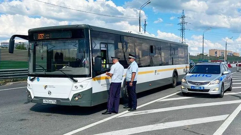 Фото: Госавтоинспекция МО