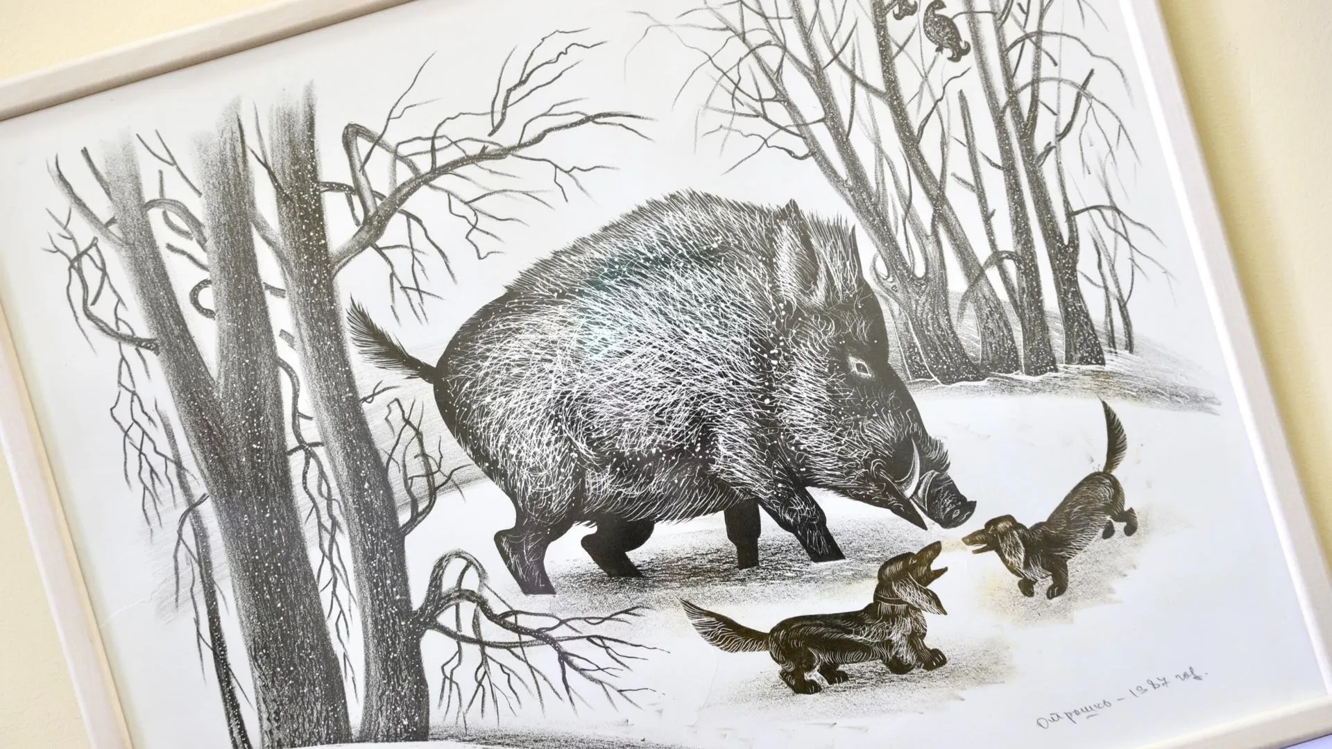 Фото: пресс-служба администрации городского округа Солнечногорск