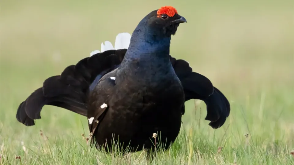 Фото: freepik.com