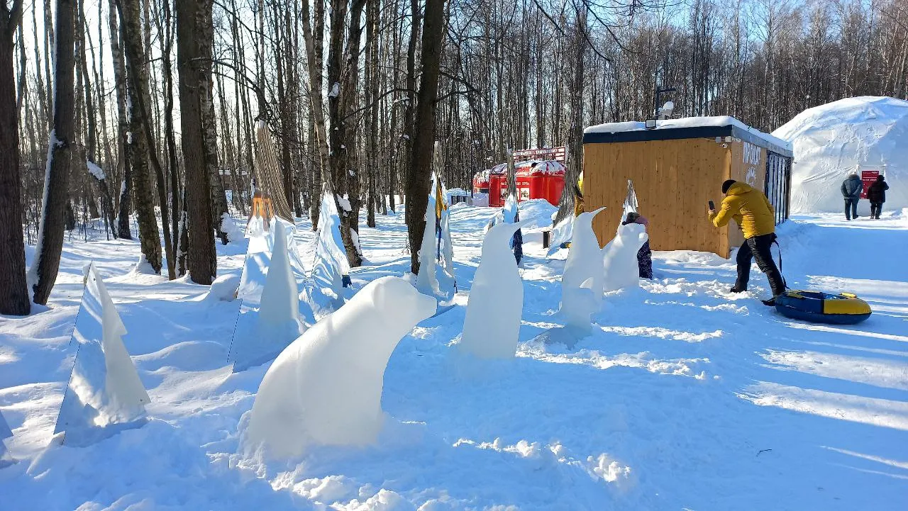 Фото: Олег Книжник
