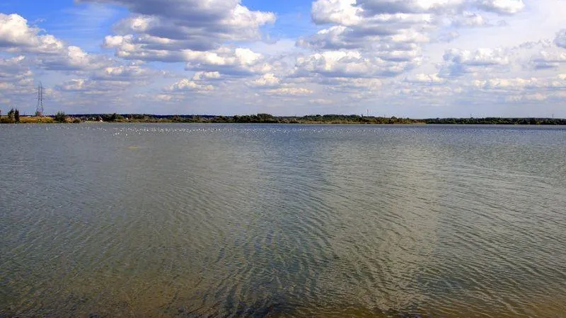 Минэкологии Подмосковья потребовало прекратить загрязнение богородских земель