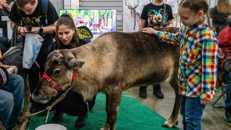 медиасток.рф