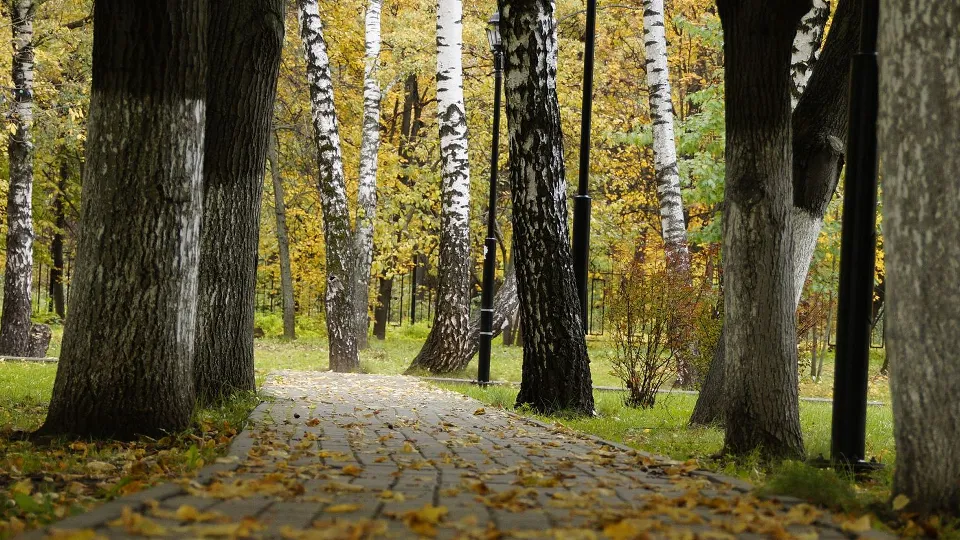 Фото: медиасток.рф