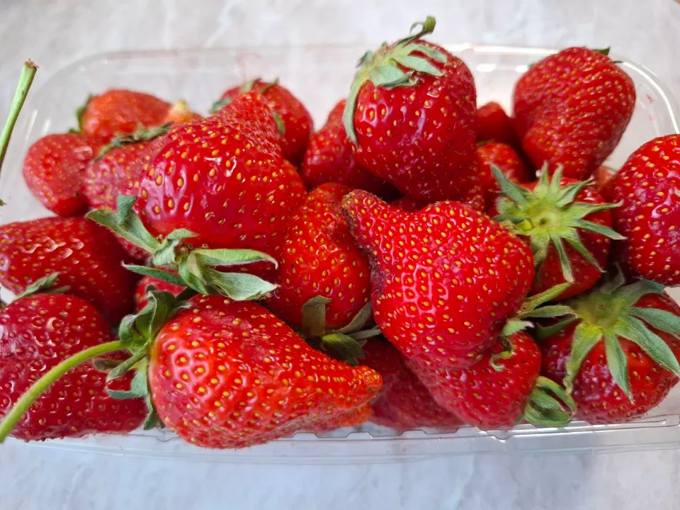 Фото: REGIONS/Юлия Габбасова