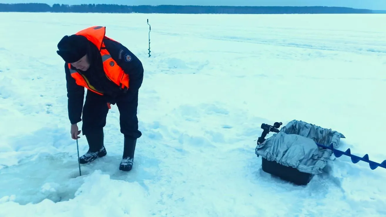 Фото: ГКУ МО "Мособлпожспас"