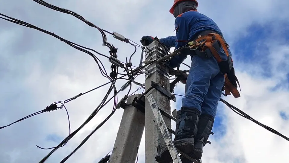 Фото: МедиаБанк Подмосковья/Данила Кирьянов