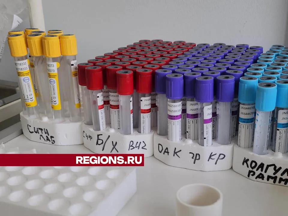 Фото: Валерия Тингаева