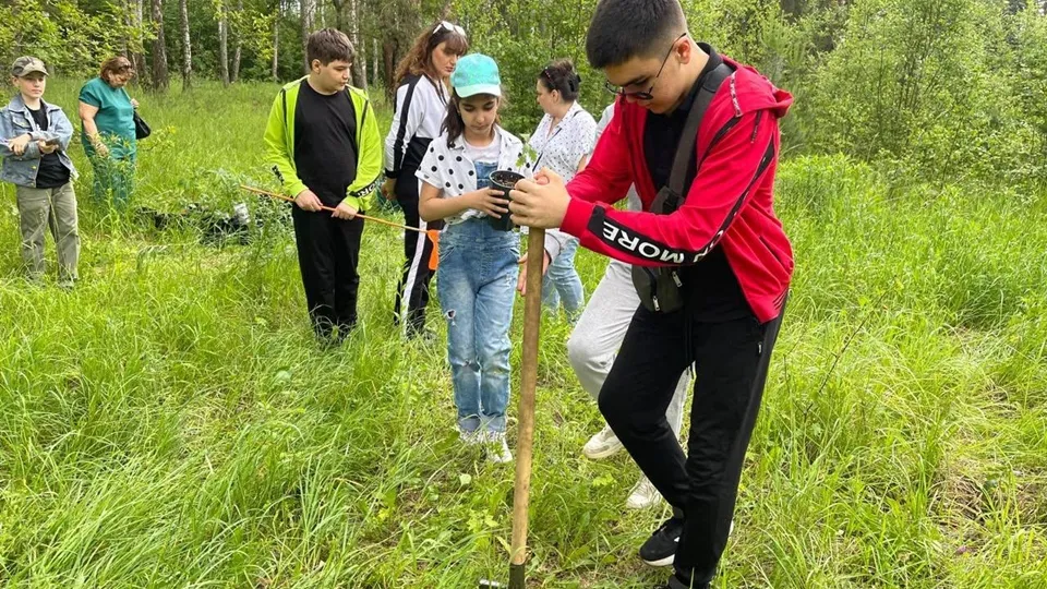 Фото: ГКУ МО «Мособллес»