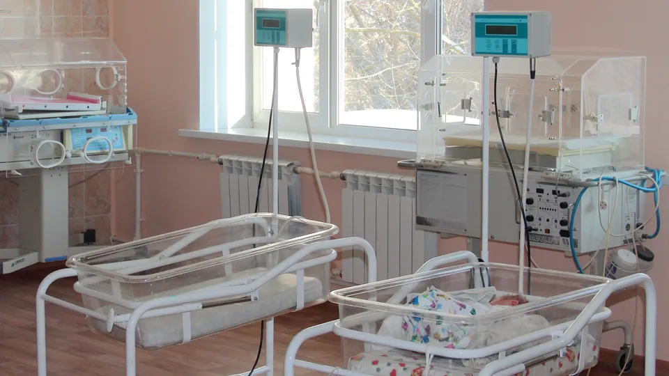 Фото: REGIONS/Александр Дрожжин